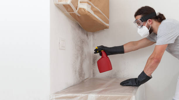 Professional Bathroom Mold Removal technician working in Queen Anne, MD