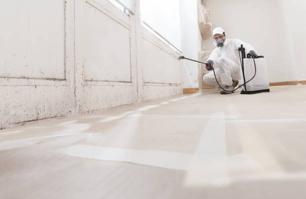 24/7 Emergency Bathroom Mold Removal experts in Queen Anne, MD